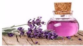 Lavender Oil