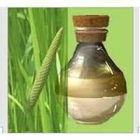 Calamus oil
