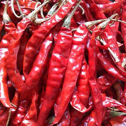 Red Chilli