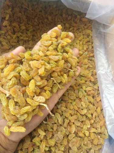 Varsha Gold Raisin