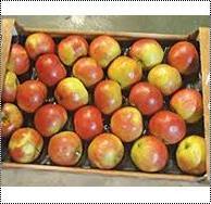 Natural Red Apple