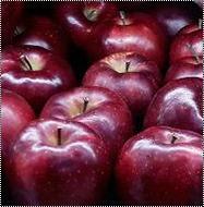 Red Delicious