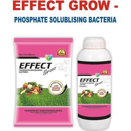 Bio Fertilizers