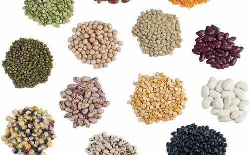 Agriculture Seeds