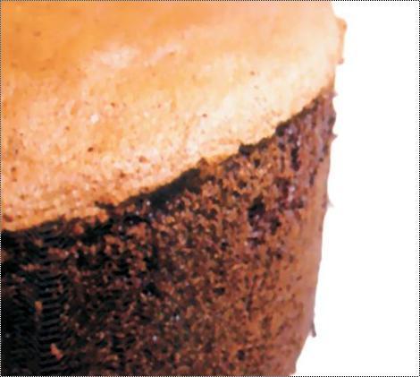 Egg-Choco Delight Cake Premix
