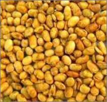 Roasted Masala Soynuts