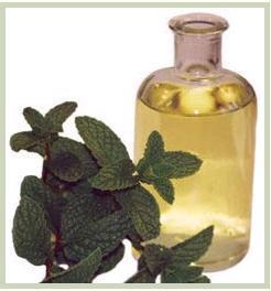 PEPPERMINT OIL