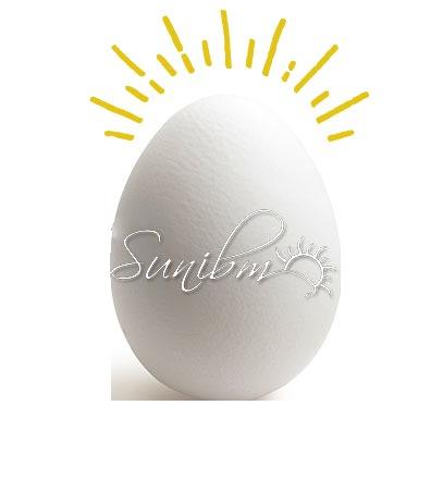 eggWorld White Egg