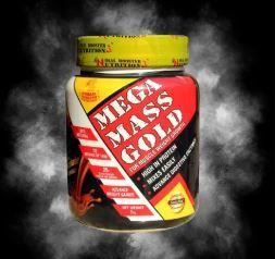 Mass Gainer