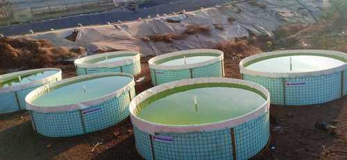 Aquaculture Tank