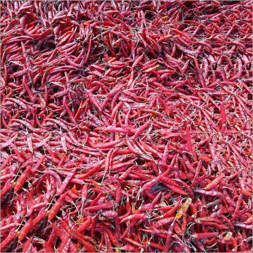 Guntur Teja Dry Red Chilli