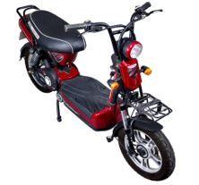 Electric Moped for Delivery