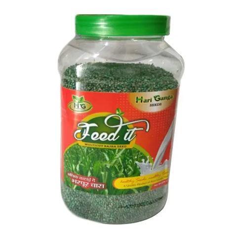 Multicut Fodder Bajra Seeds