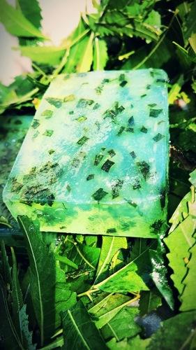 Herbal Elixir (Bathing Bar Soap) 