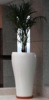 Designer pot