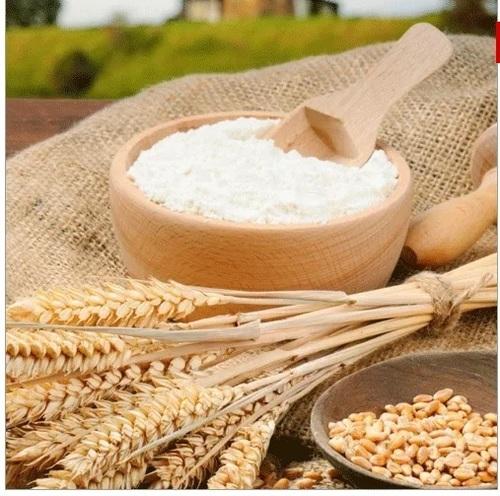 Pure Wheat Flour