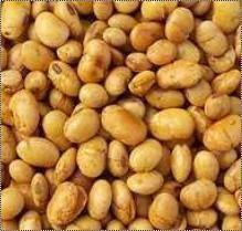 Roasted Soynuts