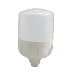 LED Dome Bulb