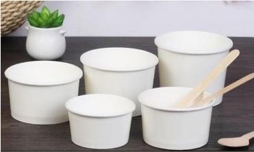 Disposable Paper Products