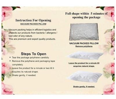 Vacuum Packed Pillow