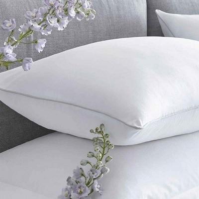 Vacuum Packed Pillow