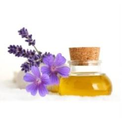 Fragrance Soap Oil