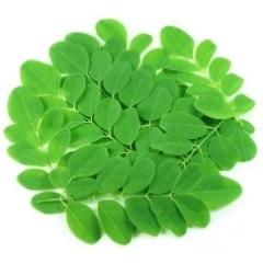 Moringa Leaves