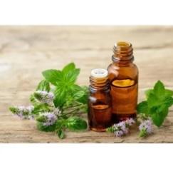 Eucalyptus Essential Oil