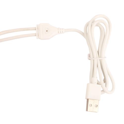 Car Charger + 2 in 1 Cable