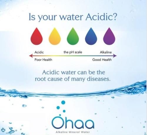 Alkaline Water