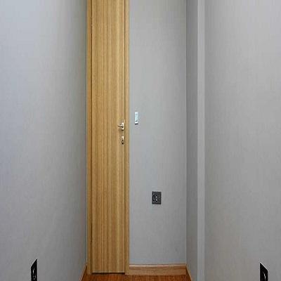 Flush Door