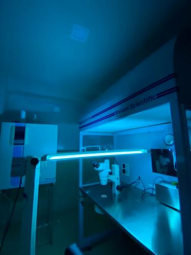 UV Sterilization Light