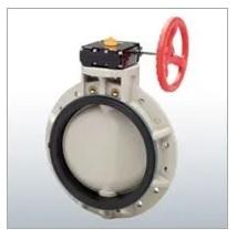 Butterfly Valve