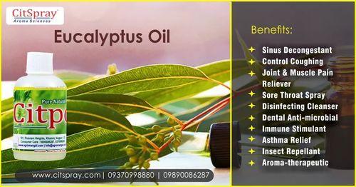 Eucalyptus oil