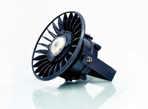 Flameproof Flood Light / Well Glass