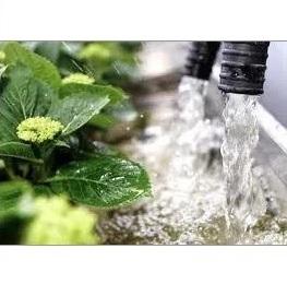 Water Soluble Organic Fertilizer