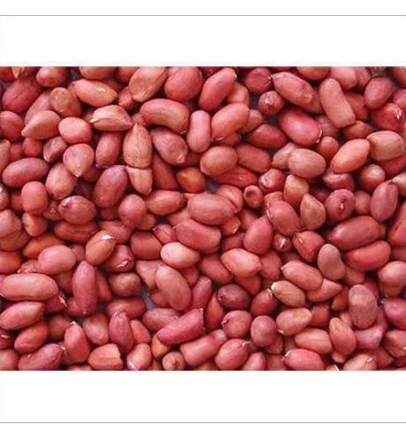 Groundnut Seeds