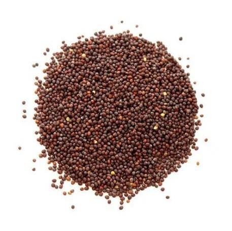 Fresh Mustard Seeds