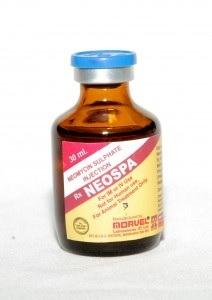 Neomycin Sulphate (INJ. NEOSPA VET)