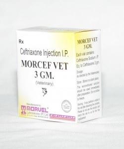 Ceftriaxone (INJ. MORCEF VET)