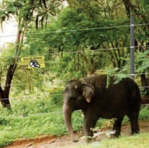 SIPL Solar Power Fencing