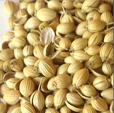 Corriander seed