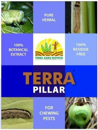 Terra Pillar