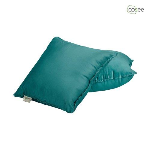 Color Cushion