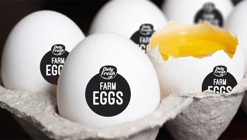 Farm eggs