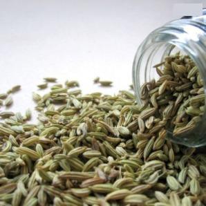 Fennel Seed-Sauf