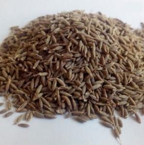 Cumin Seeds- Jeera