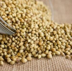 Coriander Seed-Gota Dhanya