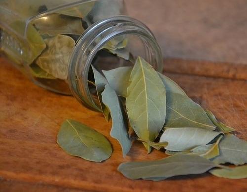 Bay Leaf-Tej Patta