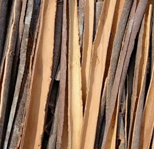 Split Cassia - Dalchini